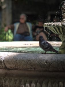 Usos y aplicaciones del Concreto Permeable - Fuentes - | Concreto Ecológico de México